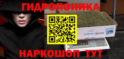 наркотики Заводоуковск