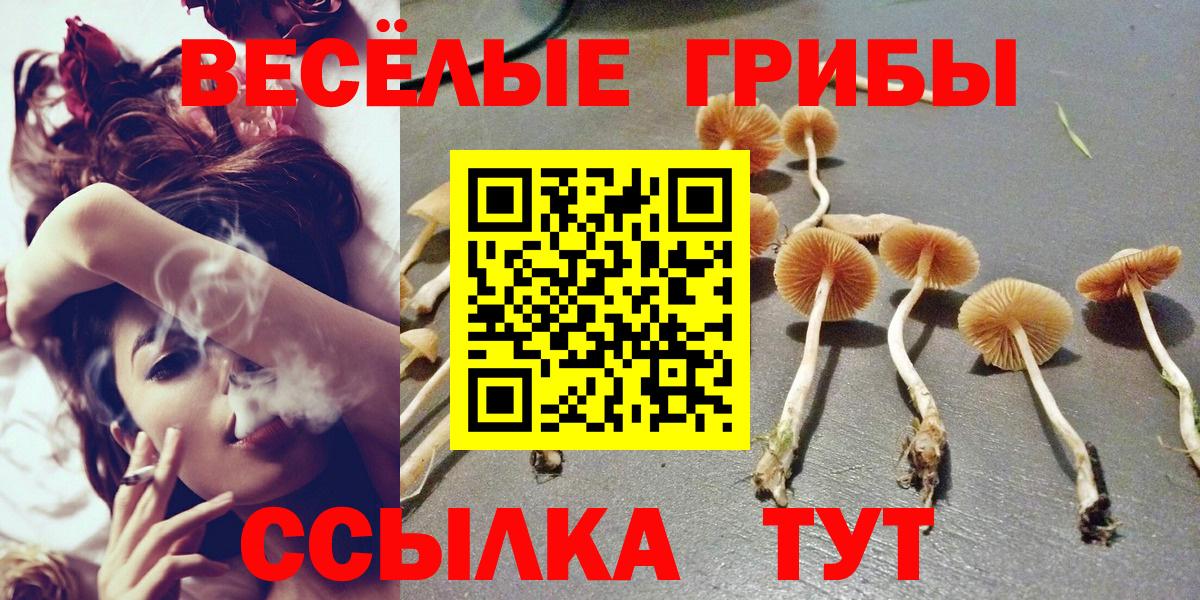 Лангепас  Псилоцибиновые грибы прущие грибы  Вход с VPN  Галлюциногенные грибы прущие грибы 